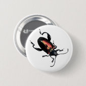 Badge Rond 5 Cm Insecte noir et rouge de scarabée (Devant & derrière)