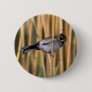 Badge Rond 5 Cm Insigne Bouton Bouton Bouton Bouton Boulon De Reed