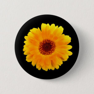 Badge Rond 5 Cm Insigne Calendula Officinalis