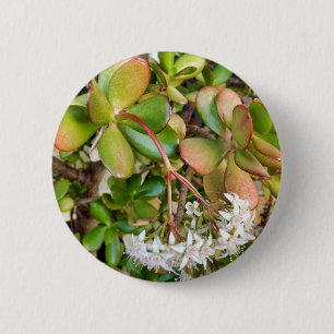 Badge Rond 5 Cm Insigne Crassula ovata