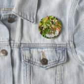 Badge Rond 5 Cm Insigne Crassula ovata (En situation)