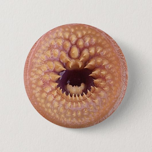 Badge Rond 5 Cm insigne de bitey (Devant)