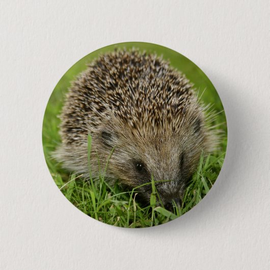 Badge Rond 5 Cm Insigne de bouton de hérisson (Devant)