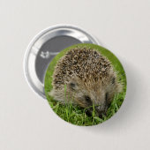 Badge Rond 5 Cm Insigne de bouton de hérisson (Devant & derrière)