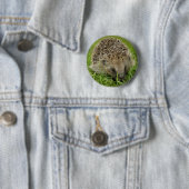 Badge Rond 5 Cm Insigne de bouton de hérisson (En situation)