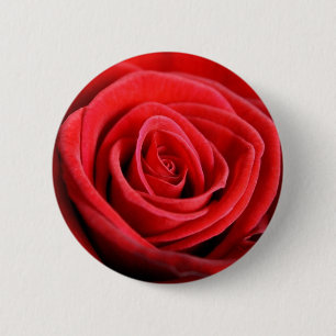 Badge Rond 5 Cm Insigne de bouton de plan rapproché de rose rouge