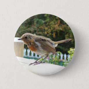 Badge Rond 5 Cm Insigne de bouton de Robin