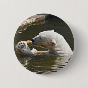 Badge Rond 5 Cm Insigne d'ours polaire mangeant des fruits
