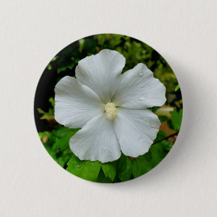 Badge Rond 5 Cm Insigne Hibiscus