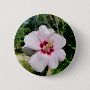 Badge Rond 5 Cm Insigne Hibiscus