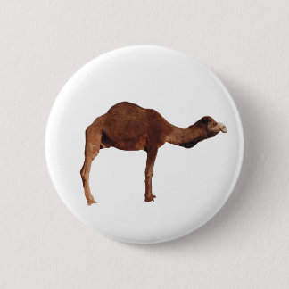 Badge Rond 5 Cm Insigne marocain de Pin de bouton de chameau
