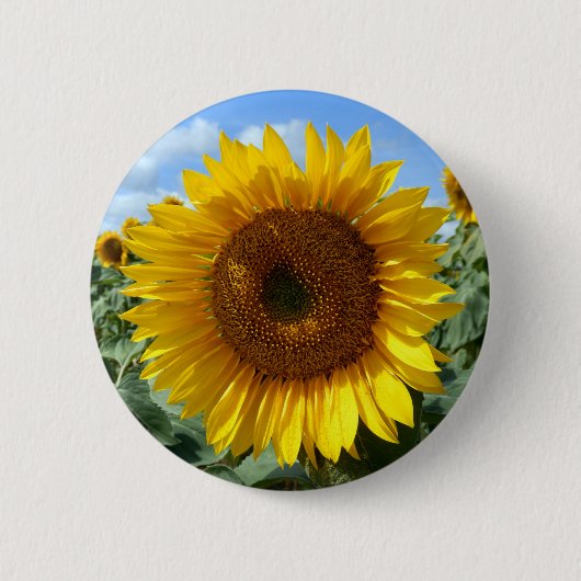 Badge Rond 5 Cm Insigne rond de tournesol (Devant)