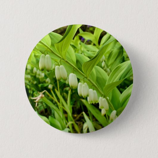 Badge Rond 5 Cm Insigne Solomons Seal (Devant)