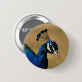 Badge Rond 5 Cm Insignes et boutons personnalisables de paon (Devant & derrière)