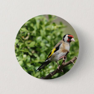 Badge Rond 5 Cm Intervalle