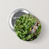 Badge Rond 5 Cm Intervalle (Devant & derrière)