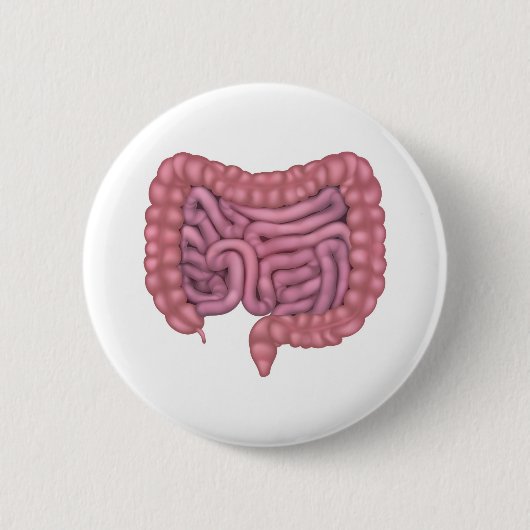 Badge Rond 5 Cm Intestines Système digestif humain intestin (Devant)