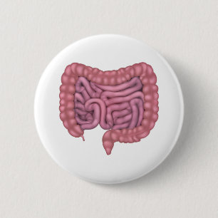 Badge Rond 5 Cm Intestines Système digestif humain intestin