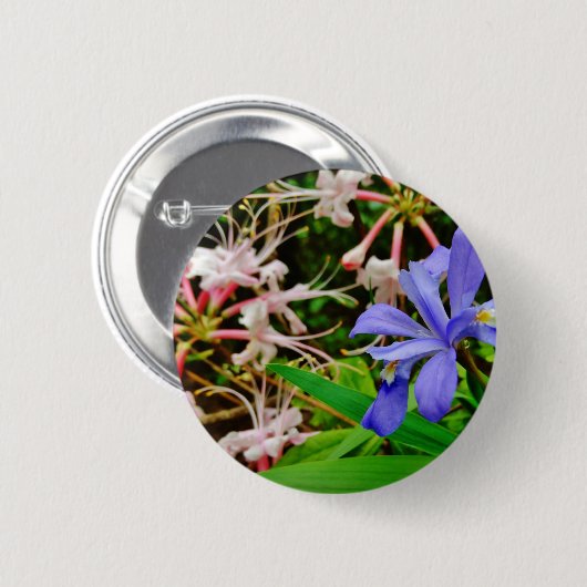 Badge Rond 5 Cm Iris Nain Crêché (Devant & derrière)