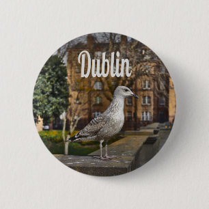 Badge Rond 5 Cm Irlande de Dublin Bird sur mur de briques