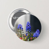 Badge Rond 5 Cm jacinthe de raisin (Devant & derrière)