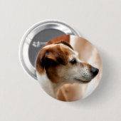 BADGE ROND 5 CM JACK RUSSELL TERRIER CHIEN (Devant & derrière)