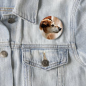 BADGE ROND 5 CM JACK RUSSELL TERRIER CHIEN (En situation)