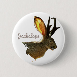 Badge Rond 5 Cm Jackalope