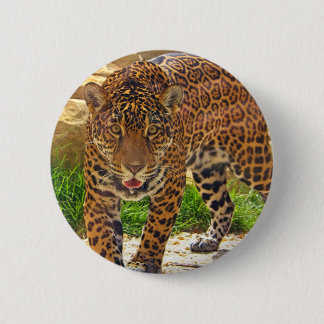 Badge Rond 5 Cm Jaguar