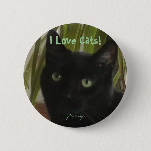 Badge Rond 5 Cm J'aime des chats ! (Devant)