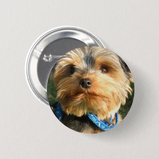 Badge Rond 5 Cm J'aime Yorkies (Devant & derrière)