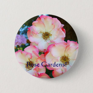 Badge Rond 5 Cm Jardins de roses ! boutons Roses Rouges Blanches F