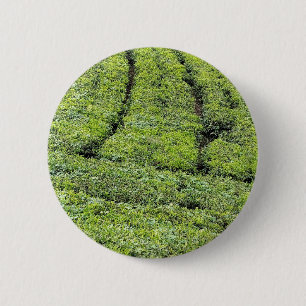 Badge Rond 5 Cm Jardins de thé de Munnar sur