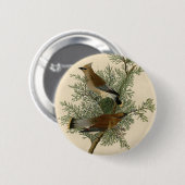 Badge Rond 5 Cm Jaseur d'Audubon (Devant & derrière)