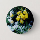 Badge Rond 5 Cm Jaune Daffodils fleurs dans la neige (Devant)