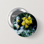 Badge Rond 5 Cm Jaune Daffodils fleurs dans la neige (Devant & derrière)
