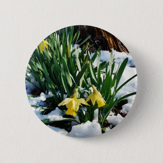 Badge Rond 5 Cm Jaune Daffodils fleurs dans la neige (Devant)