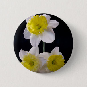 Badge Rond 5 Cm Jaune sur jonquille blanche