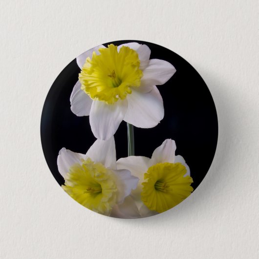 Badge Rond 5 Cm Jaune sur jonquille blanche (Devant)