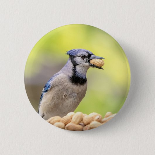 Badge Rond 5 Cm Jay bleu avec arachide (Devant)