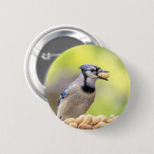 Badge Rond 5 Cm Jay bleu avec arachide (Devant & derrière)