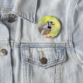 Badge Rond 5 Cm Jay bleu avec arachide (En situation)