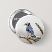 Badge Rond 5 Cm Jay bleu en hiver (Devant & derrière)