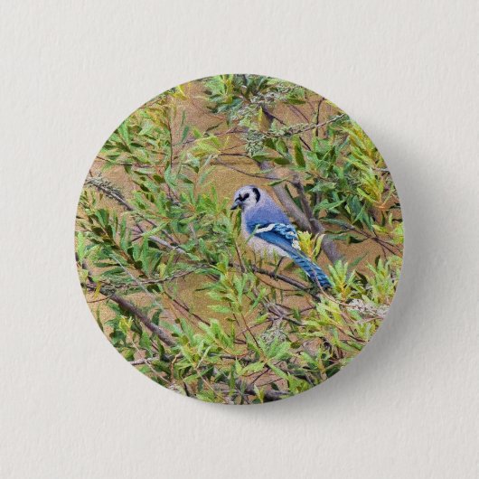 Badge Rond 5 Cm Jay bleu sur le myrte de cire (Devant)