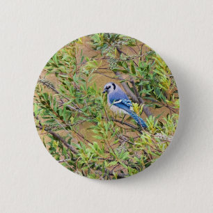 Badge Rond 5 Cm Jay bleu sur le myrte de cire