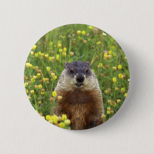 Badge Rond 5 Cm Je suis Groundhog (Devant)