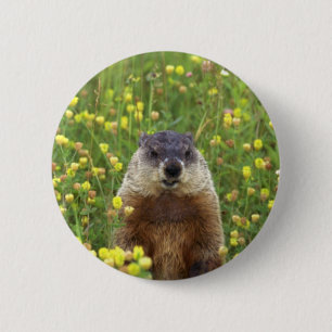 Badge Rond 5 Cm Je suis Groundhog
