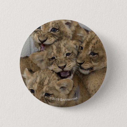 Badge Rond 5 Cm Jeu de CUB de guépard (Devant)