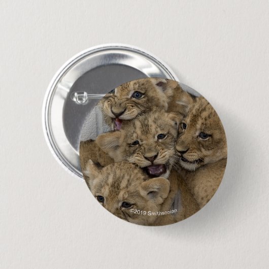 Badge Rond 5 Cm Jeu de CUB de guépard (Devant & derrière)