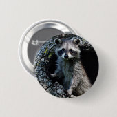 Badge Rond 5 Cm Jeune raton laveur (Devant & derrière)